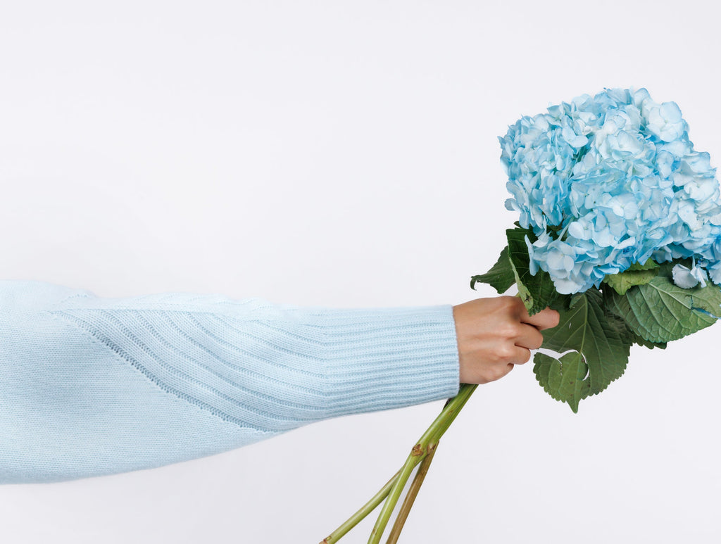 Cashmere Lounge Sweater pants in Baby Blue color for women at shop AASHKA